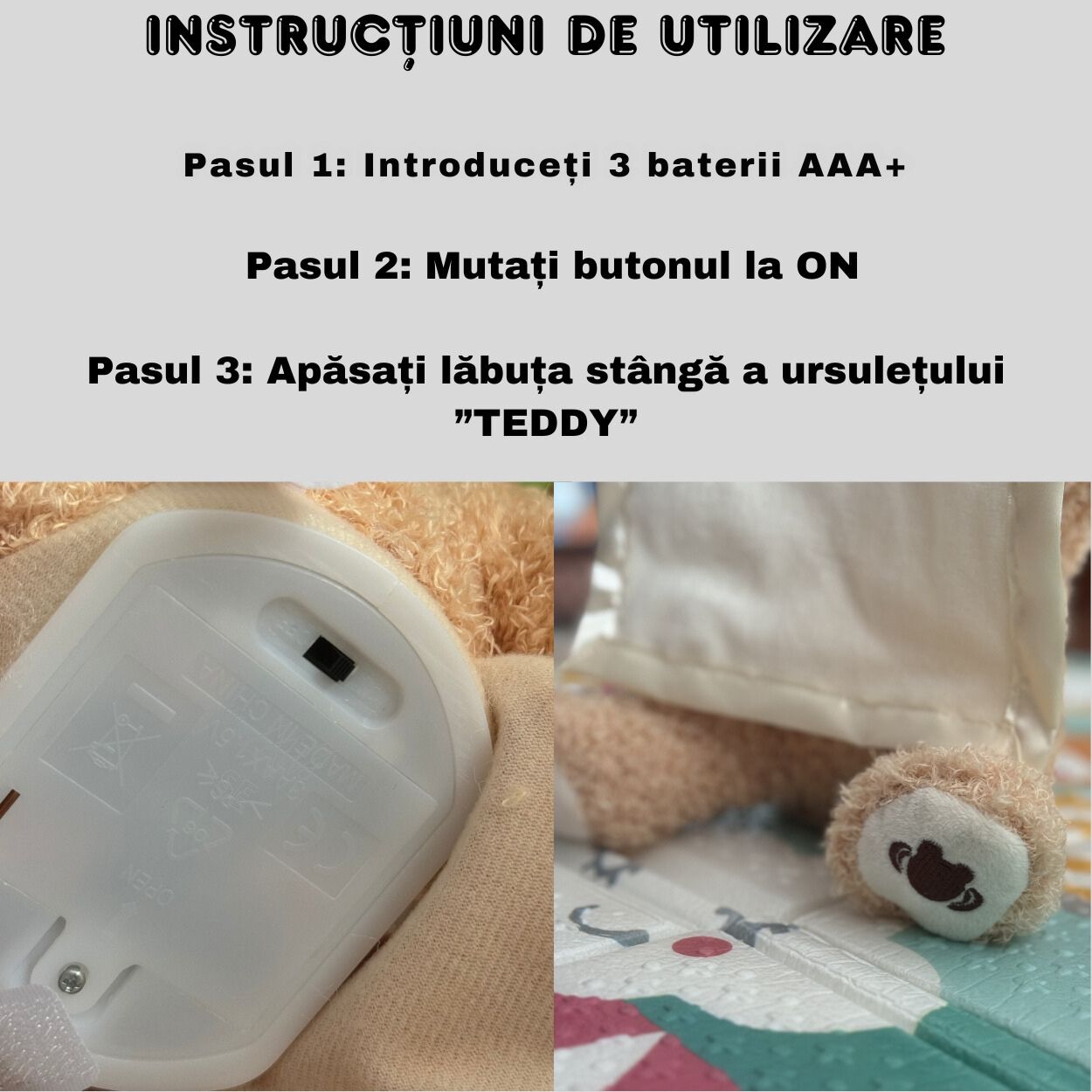 Ursulețul Teddy Interactiv