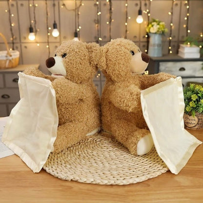 Ursulețul Teddy Interactiv